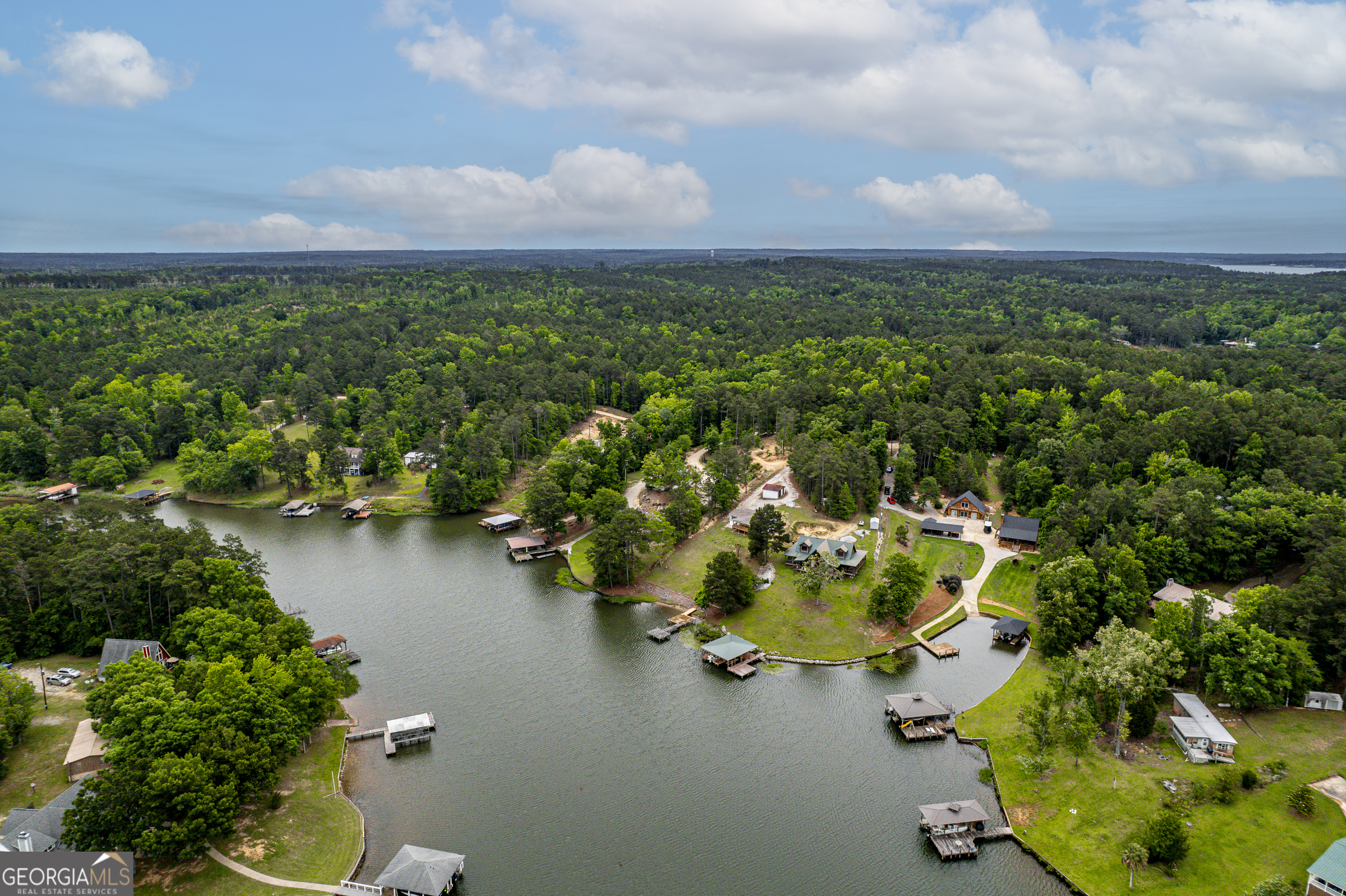 63 Tomahawk Drive Sparta, GA 31087 - Photo 3 of 60 an aerial view of a houses with ocean view