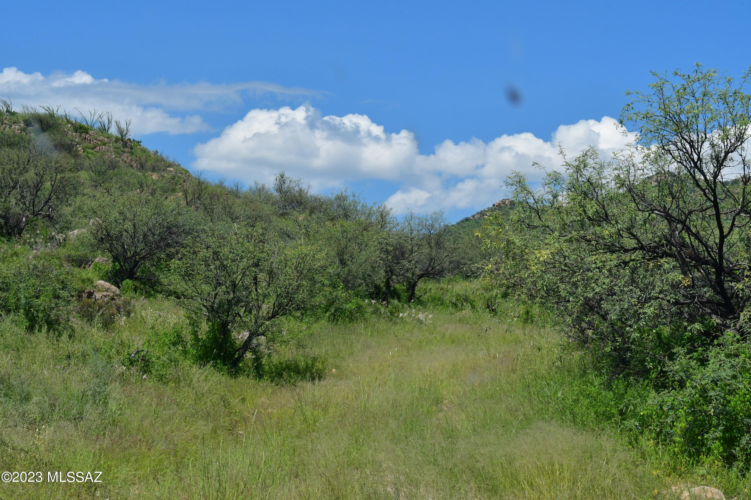 0 Mesquite Trail, Unit 131 Rio Rico, AZ 85648 - Photo 2 of 12 Gallery Image 2