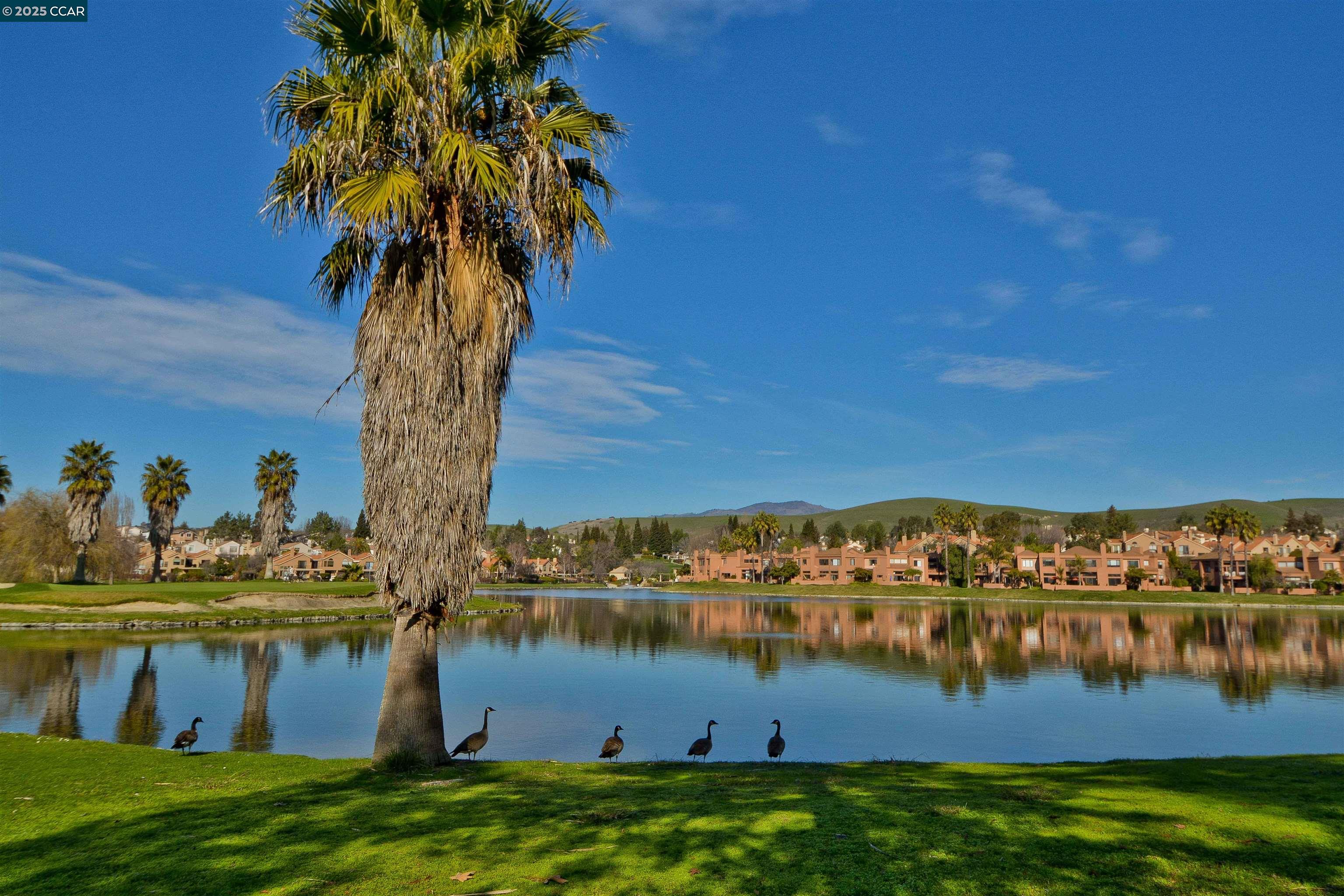 226 Lakeridge Way San Ramon, CA 94582 - Photo 48 of 59