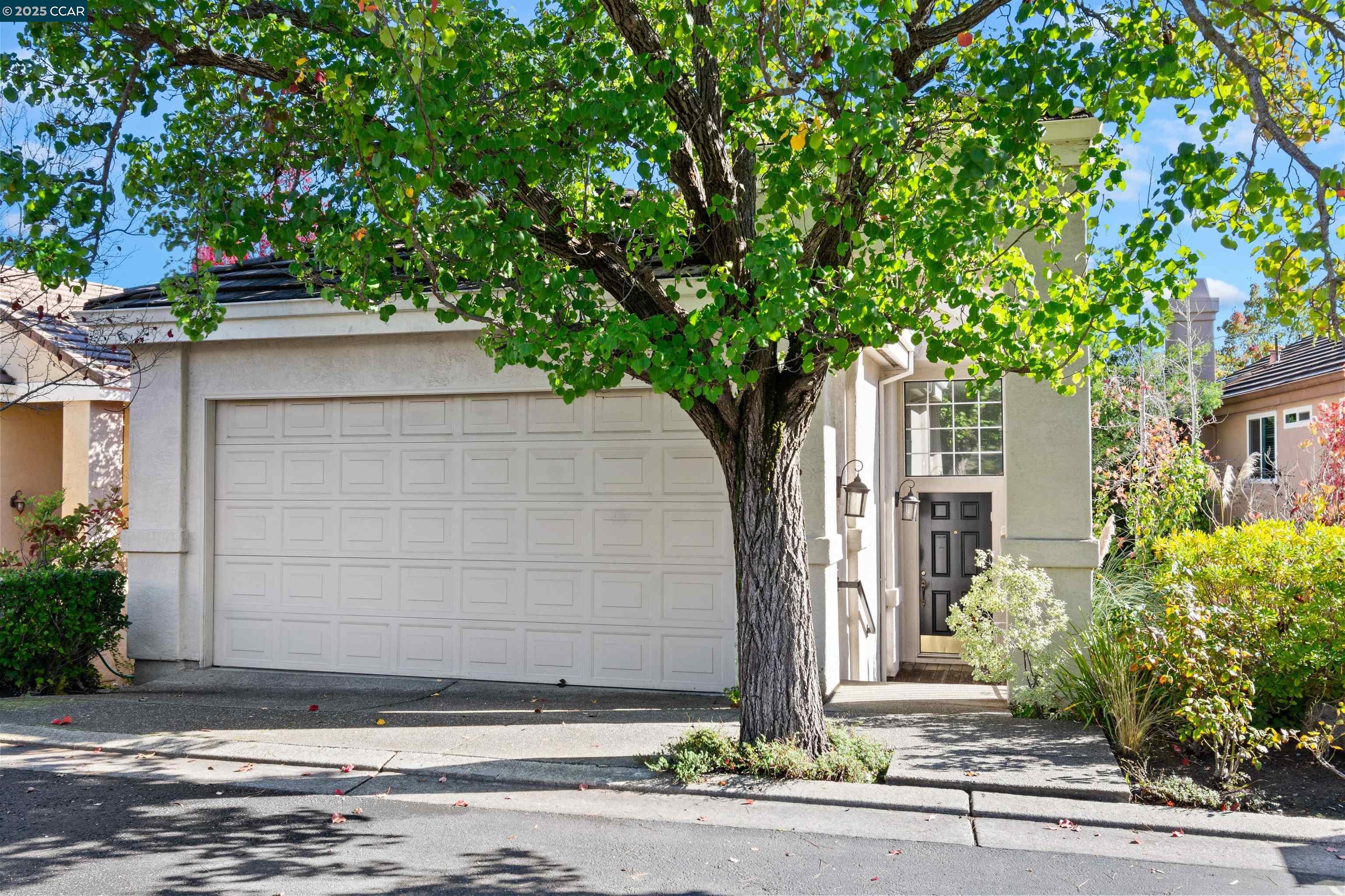 226 Lakeridge Way San Ramon, CA 94582 - Photo 5 of 59 a front view of a house with a tree