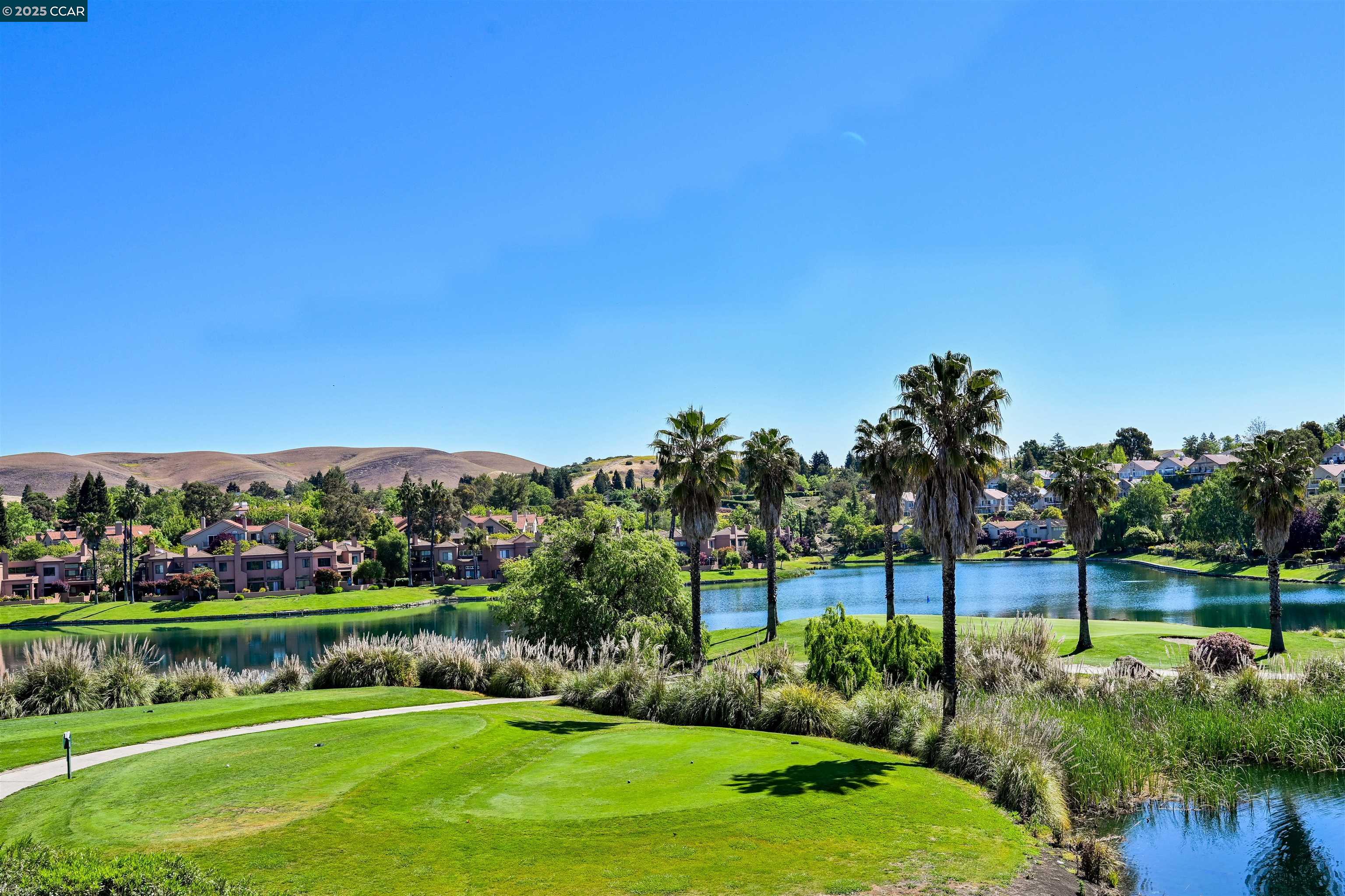 226 Lakeridge Way San Ramon, CA 94582 - Photo 58 of 59 a view of a park with large trees