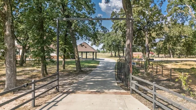 a view of a street with large trees