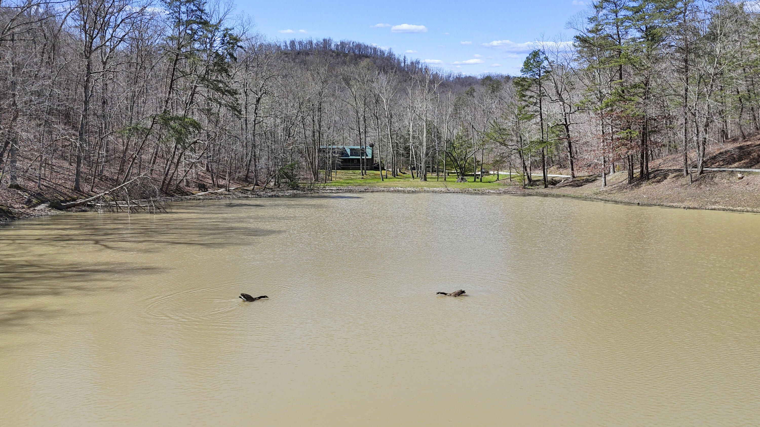 155 Chaneyville Road Stanton, KY 40380 - Photo 44 of 46 DJI_20260324125723_0052_D
