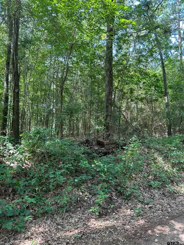 a view of outdoor space and green space