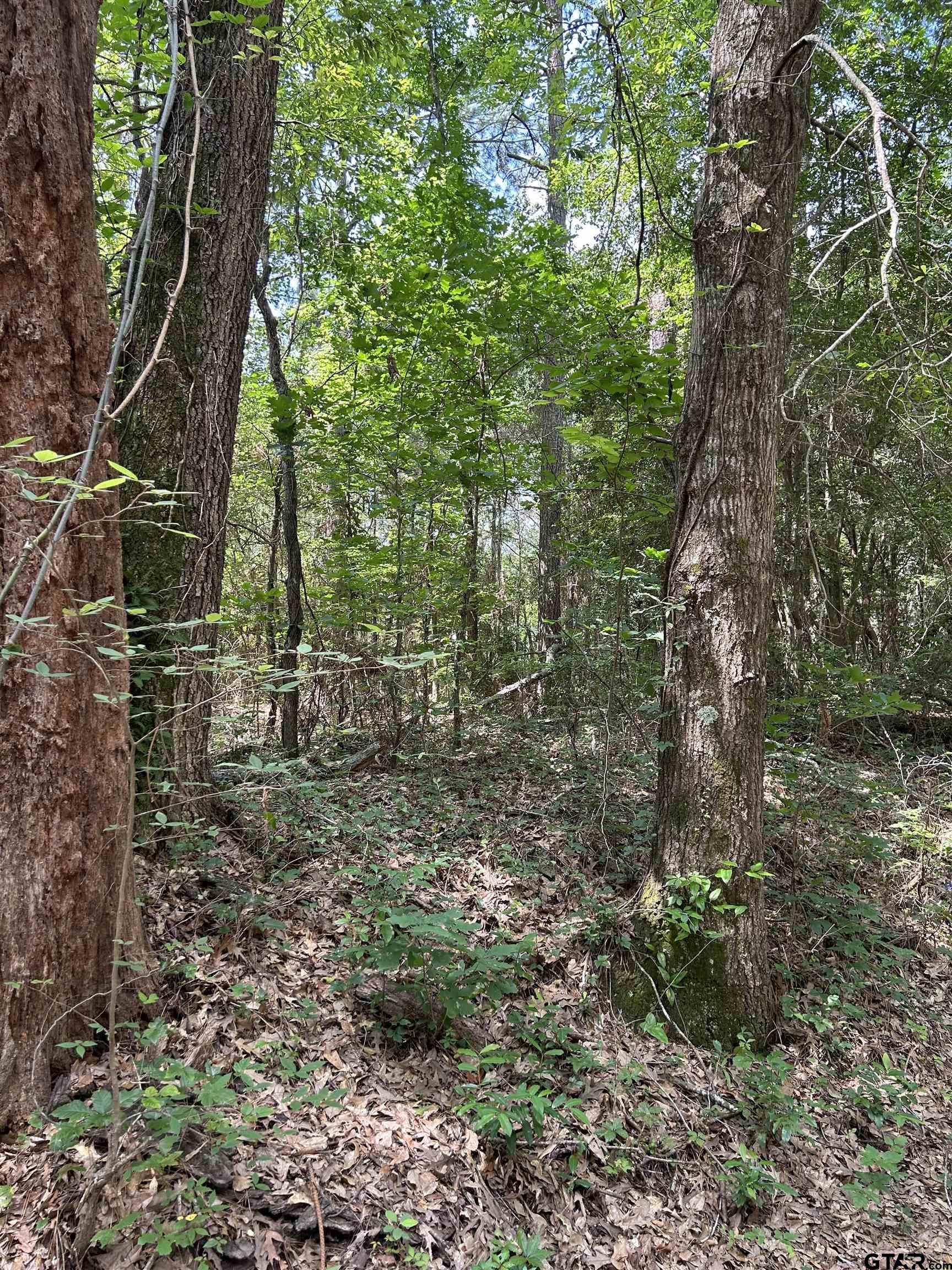 532 Jerome Street Rusk, TX 75785 - Photo 2 of 2