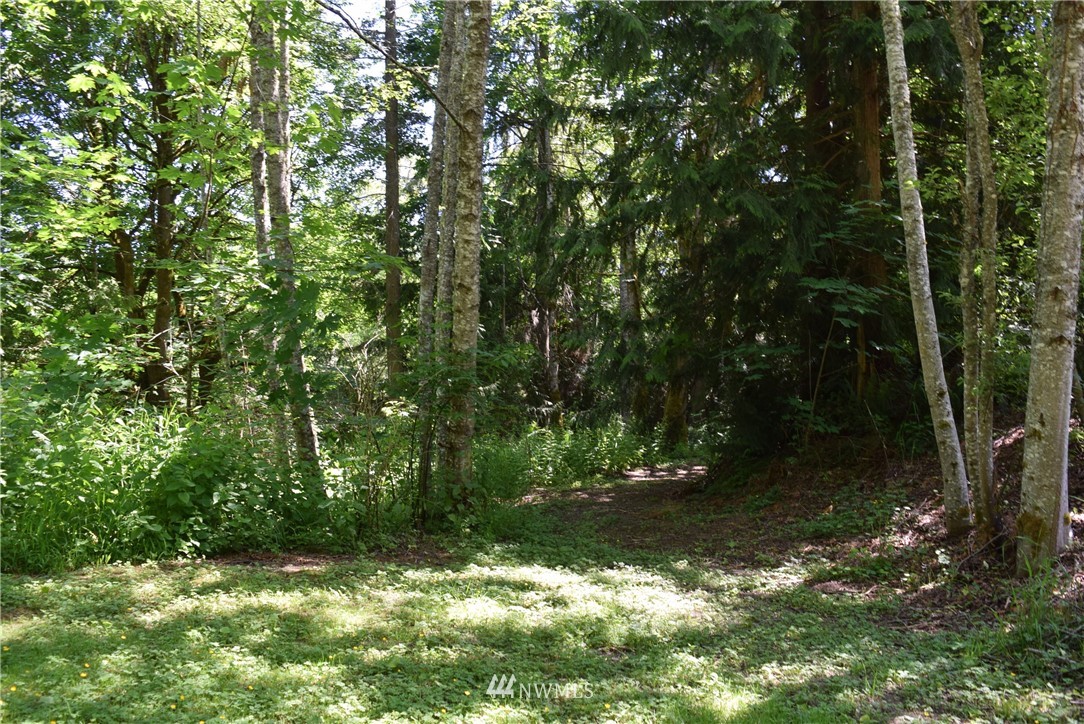 624 Billy Smith Road Port Angeles, WA 98362 - Photo 22 of 23 Gallery Image 22