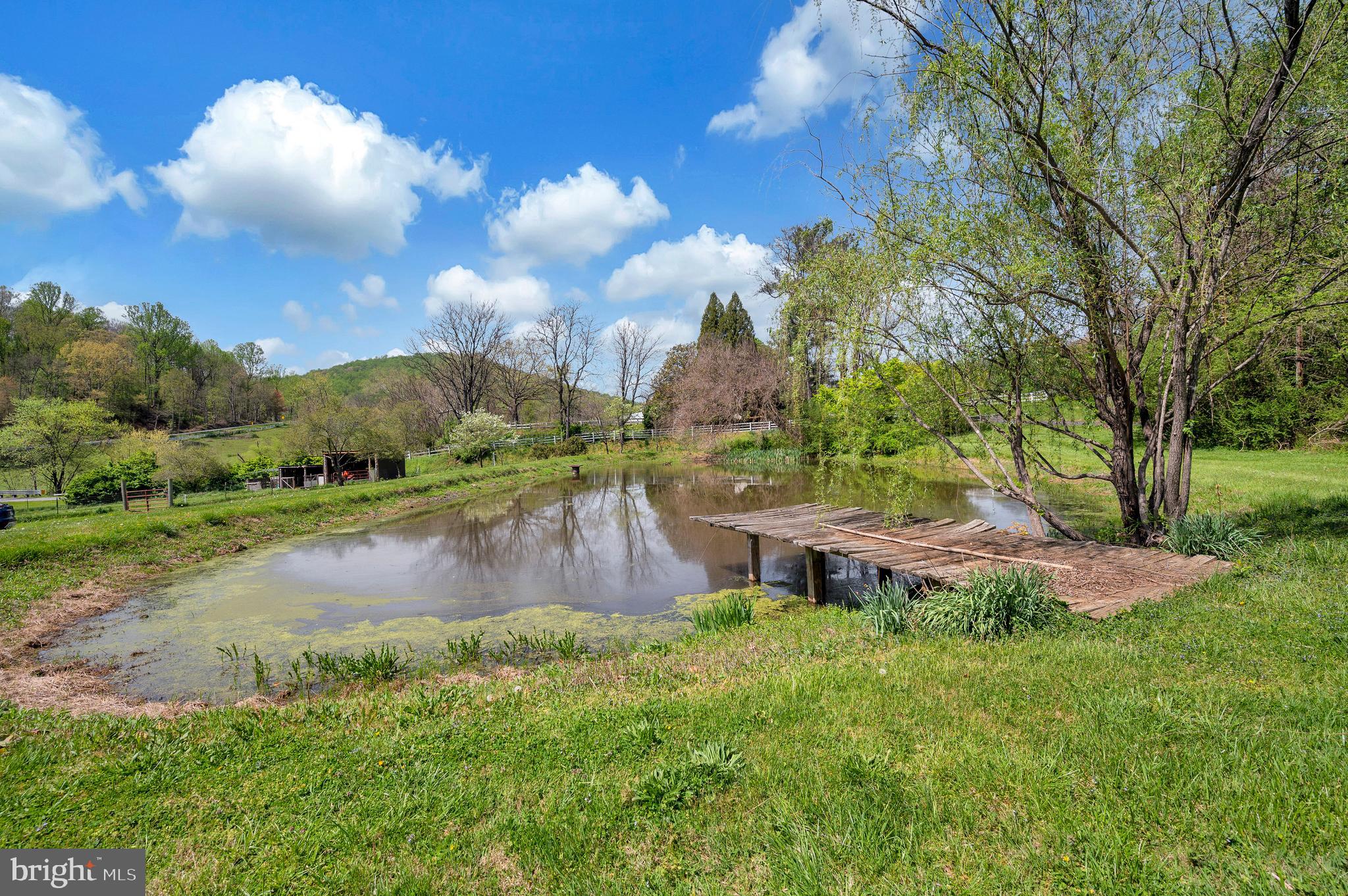 3195 Fiery Run Road Markham, VA 22643 - Photo 46 of 126 a view of a lake with a yard