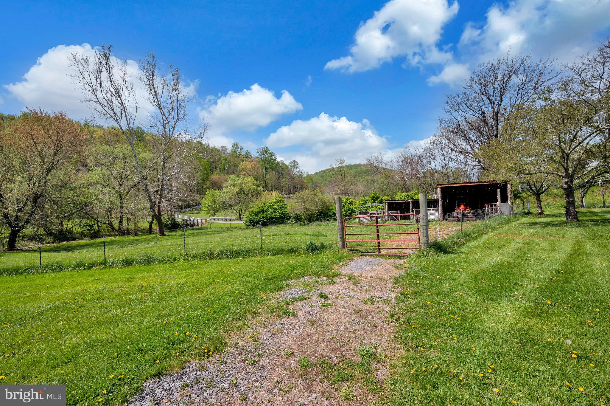 3195 Fiery Run Road Markham, VA 22643 - Photo 49 of 126