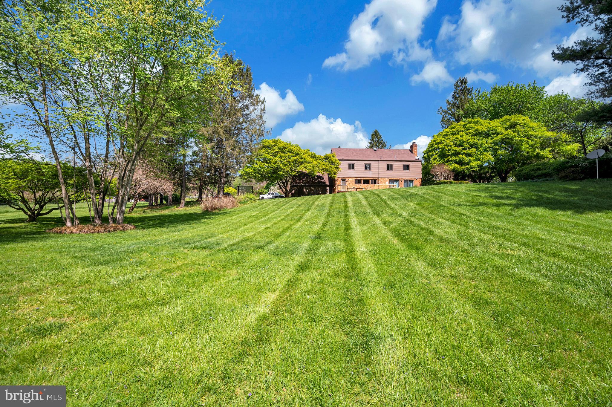 3195 Fiery Run Road Markham, VA 22643 - Photo 60 of 126 a view of a big yard with plants and large trees