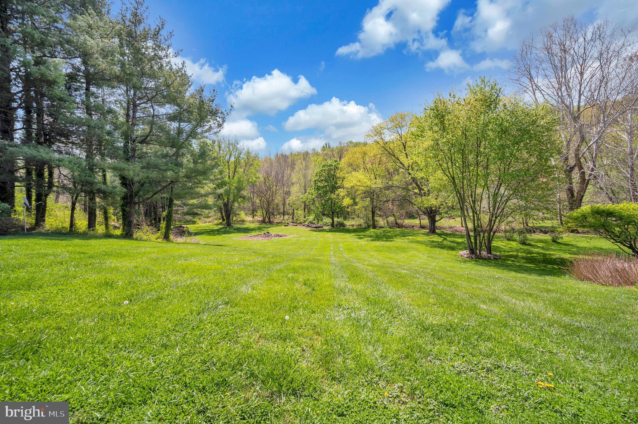 3195 Fiery Run Road Markham, VA 22643 - Photo 93 of 126 a view of yard with green space