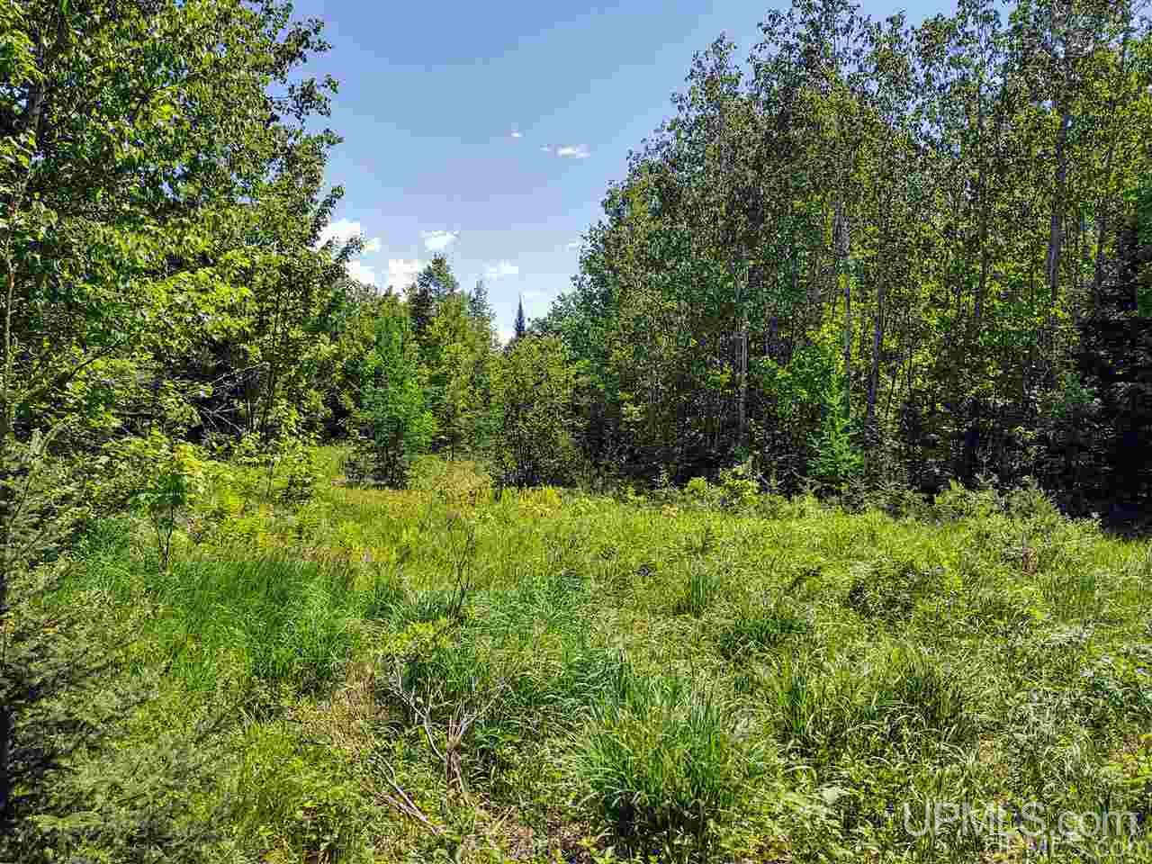 Tbd Co Rd Fp Republic, MI 49879 - Photo 26 of 33