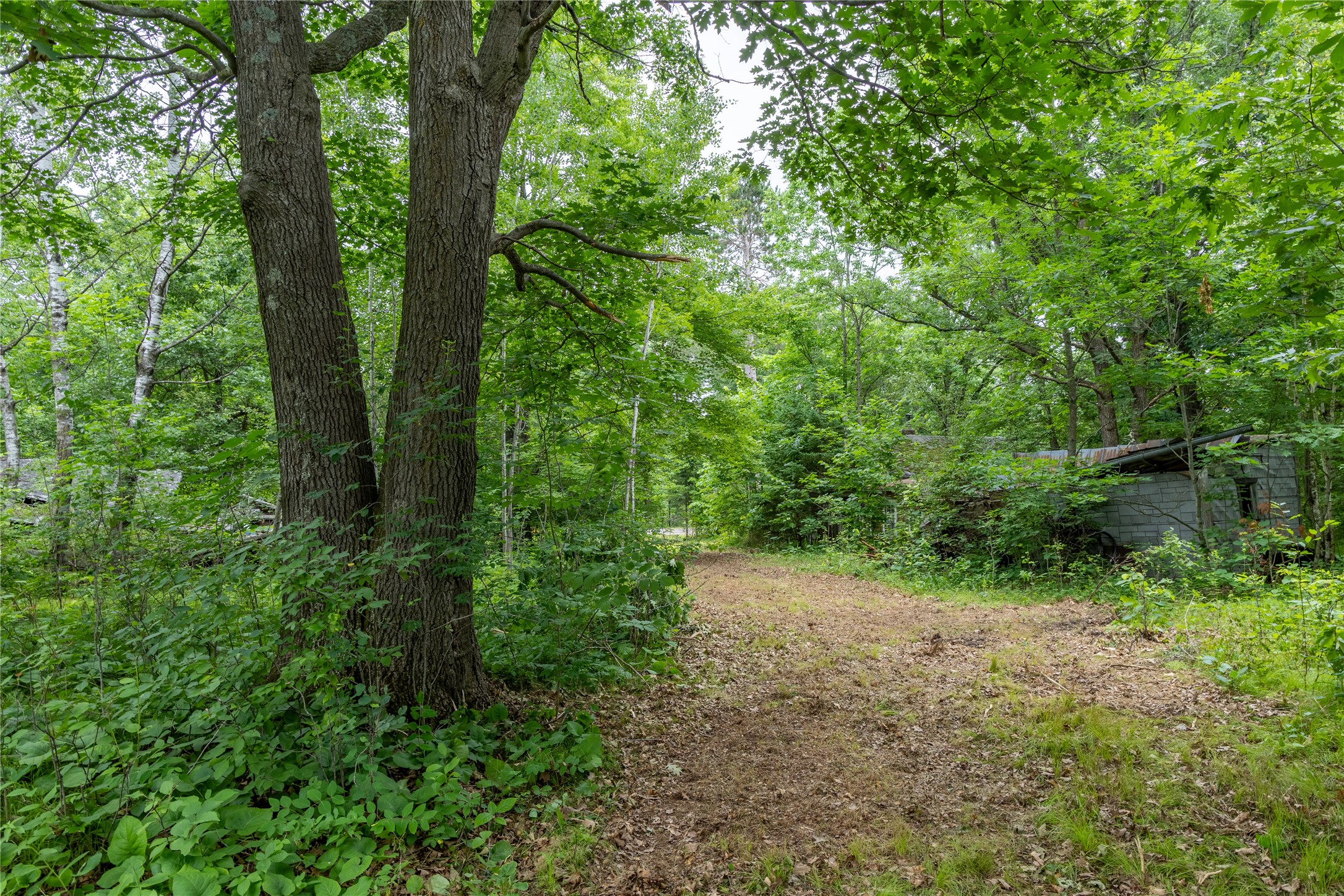 N1297 Cth Street Bruce, WI 54819 - Photo 15 of 43