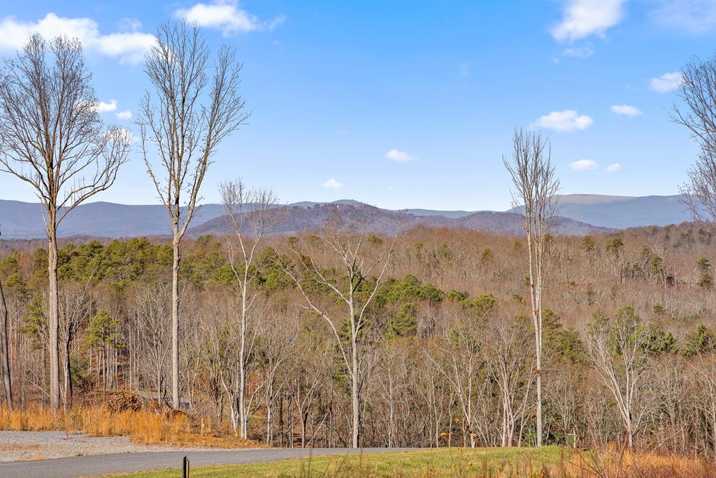 Lot 159 Gray Bluff Trail Talking Rock, GA 30175 - Photo 1 of 41 a view of a yard with a tree