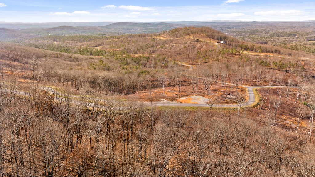 Lot 159 Gray Bluff Trail Talking Rock, GA 30175 - Photo 11 of 41 a view of city and mountain