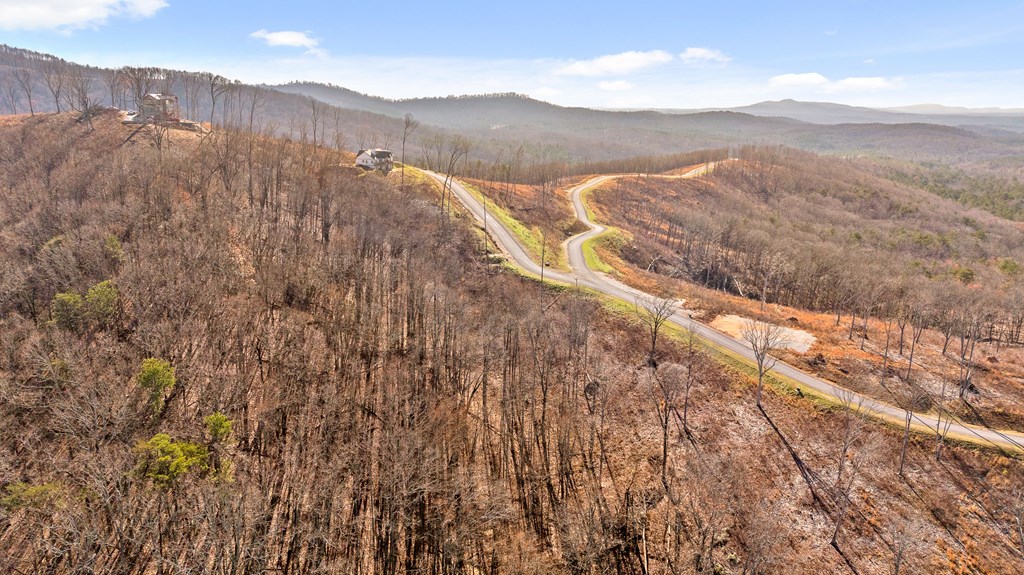 Lot 159 Gray Bluff Trail Talking Rock, GA 30175 - Photo 12 of 41 a view of mountains and mountain
