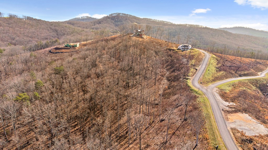 Lot 159 Gray Bluff Trail Talking Rock, GA 30175 - Photo 13 of 41 a view of mountains and mountain