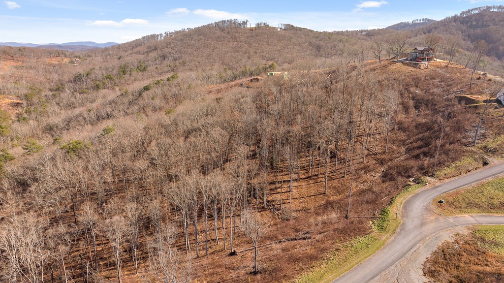 Lot 159 Gray Bluff Trail Talking Rock, GA 30175 - Photo 15 of 41 a view of a dry yard with mountains in the background