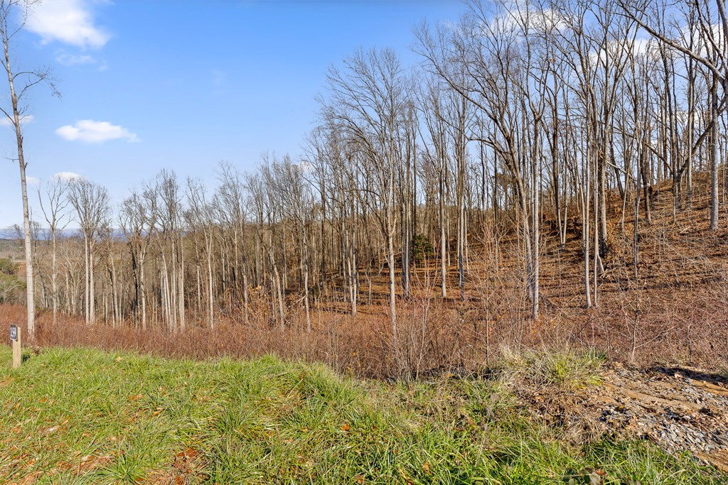 Lot 159 Gray Bluff Trail Talking Rock, GA 30175 - Photo 18 of 41 a view of outdoor space with garden
