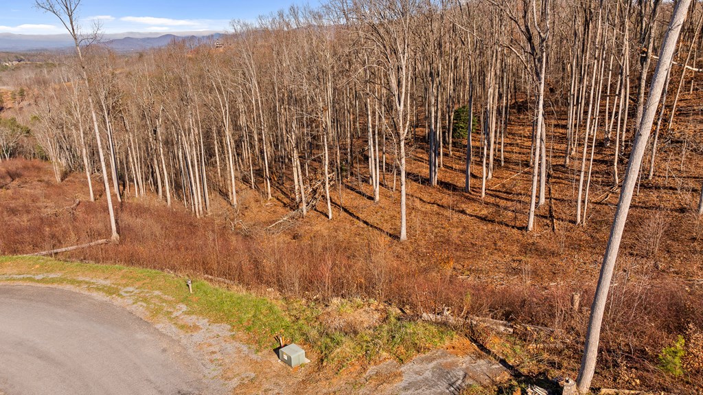 Lot 159 Gray Bluff Trail Talking Rock, GA 30175 - Photo 19 of 41 a view of under construction area