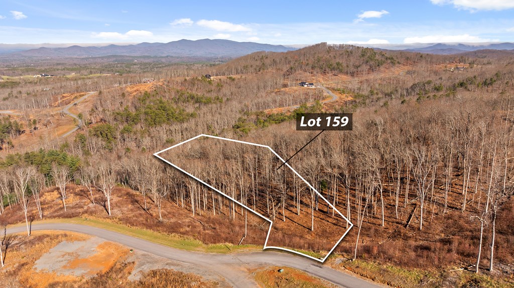 Lot 159 Gray Bluff Trail Talking Rock, GA 30175 - Photo 2 of 41