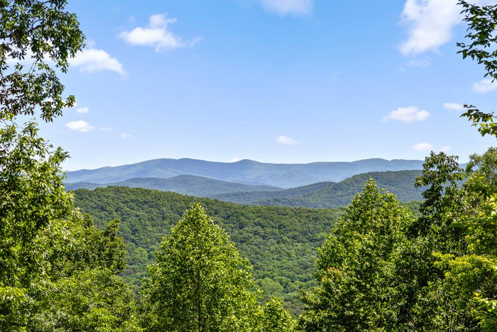 Lot 159 Gray Bluff Trail Talking Rock, GA 30175 - Photo 28 of 41 a view of a lush green forest with a mountain in the background