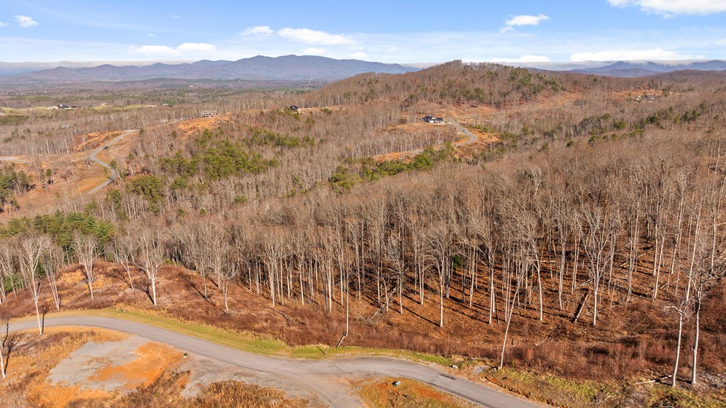 Lot 159 Gray Bluff Trail Talking Rock, GA 30175 - Photo 3 of 41 a view of mountain view with mountains in the background