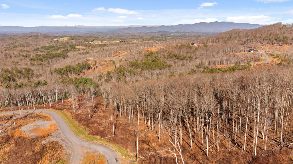 Lot 159 Gray Bluff Trail Talking Rock, GA 30175 - Photo 5 of 41