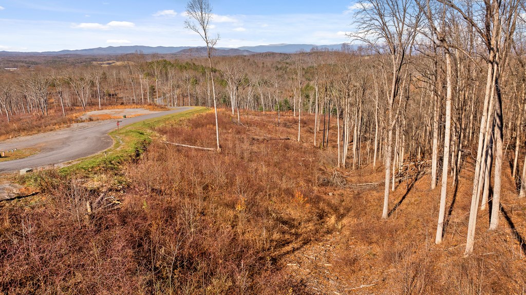 Lot 159 Gray Bluff Trail Talking Rock, GA 30175 - Photo 6 of 41 a view of an ocean view