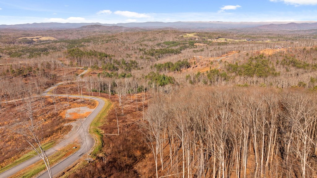 Lot 159 Gray Bluff Trail Talking Rock, GA 30175 - Photo 7 of 41 a view of city and mountain