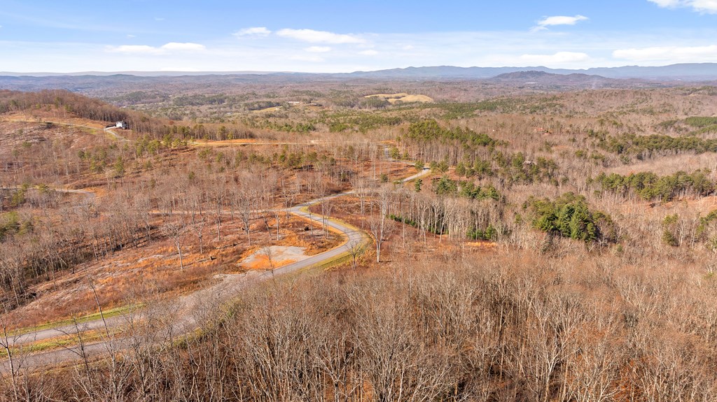 Lot 159 Gray Bluff Trail Talking Rock, GA 30175 - Photo 8 of 41 a view of city and mountain