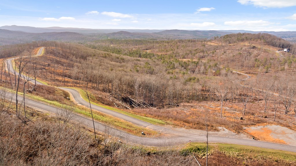 Lot 159 Gray Bluff Trail Talking Rock, GA 30175 - Photo 9 of 41 a view of a yard with mountain
