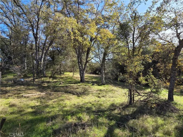 a view of a yard with trees
