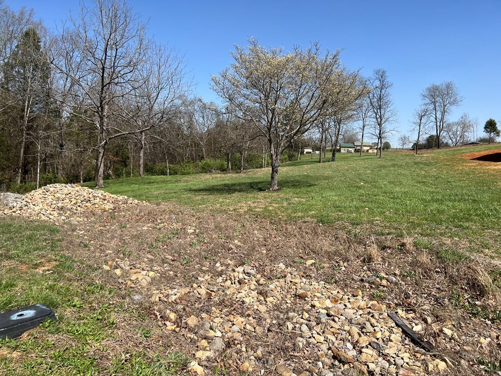 0 Sullivan Pointe Point Dandridge, TN 37725 - Photo 4 of 5