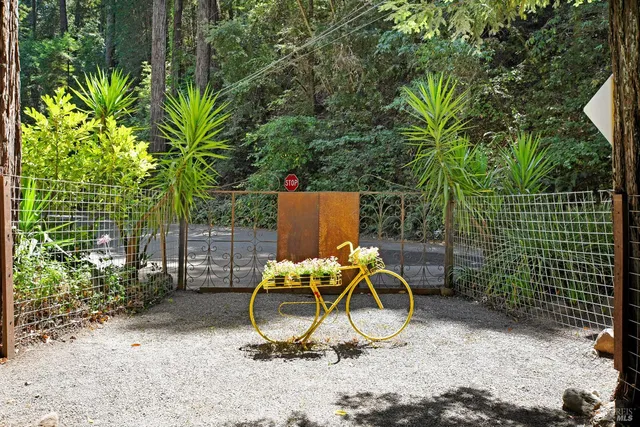 a view of a backyard