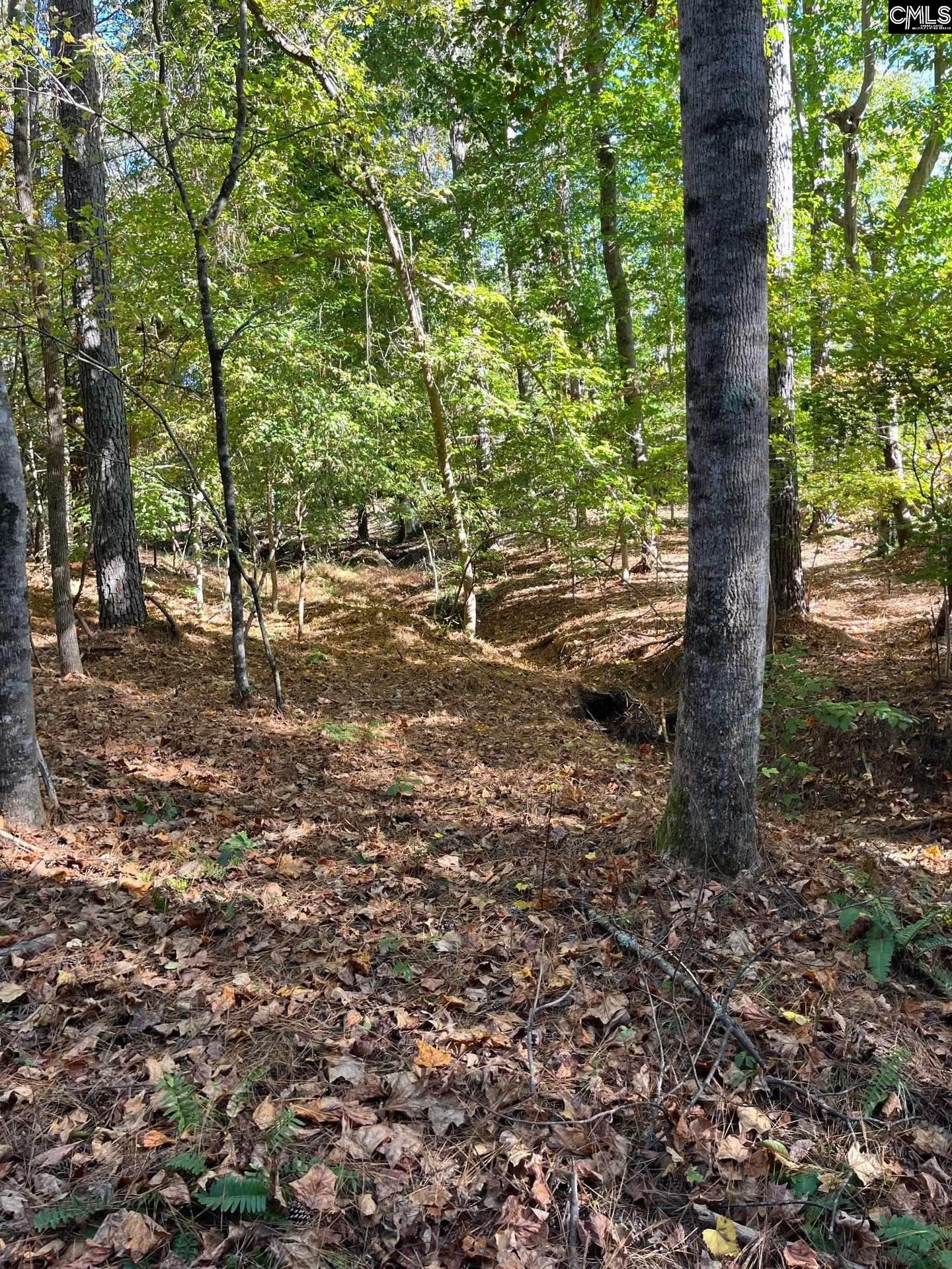 3 Dawkins Road, Unit DRF 3 Whitmire, SC 29178 - Photo 37 of 38