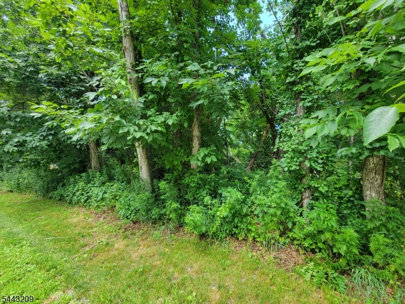 104 Armstrong Road Montague, NJ 07827 - Photo 1 of 4