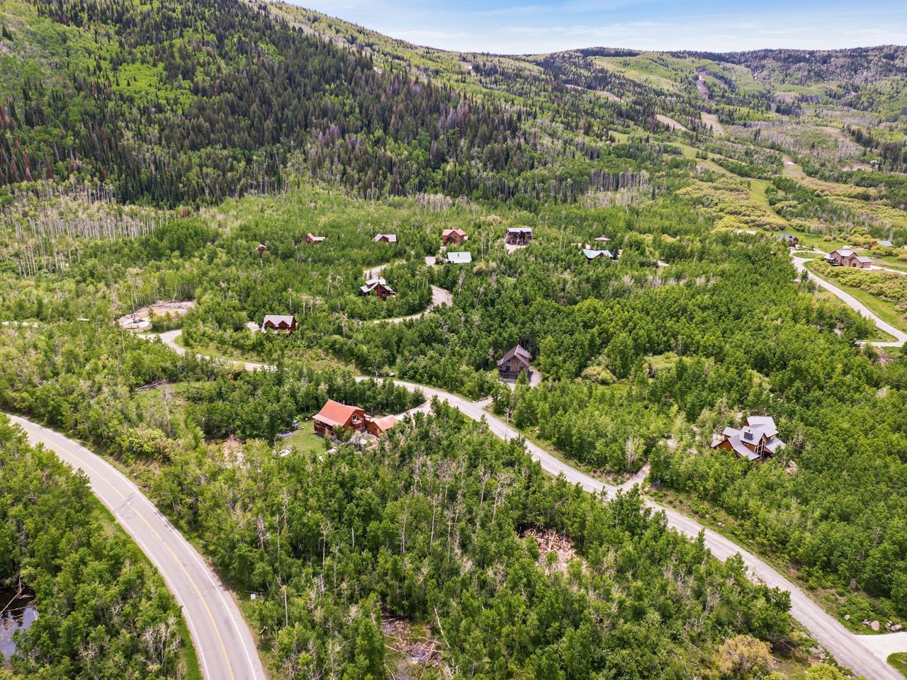 420 Powder Ridge Circle Mesa, CO 81643 - Photo 17 of 18 a view of a lush green forest with lots of trees
