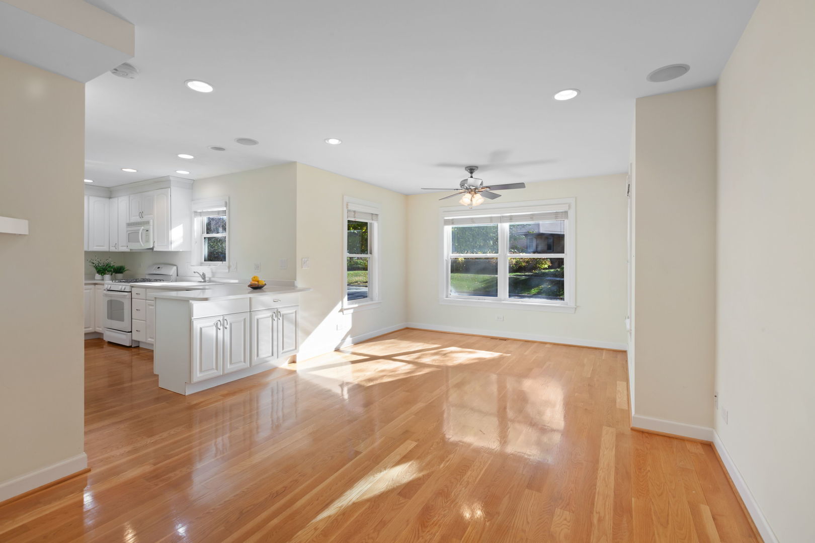 5333 Fairview Avenue Downers Grove, IL 60515 - Photo 4 of 28