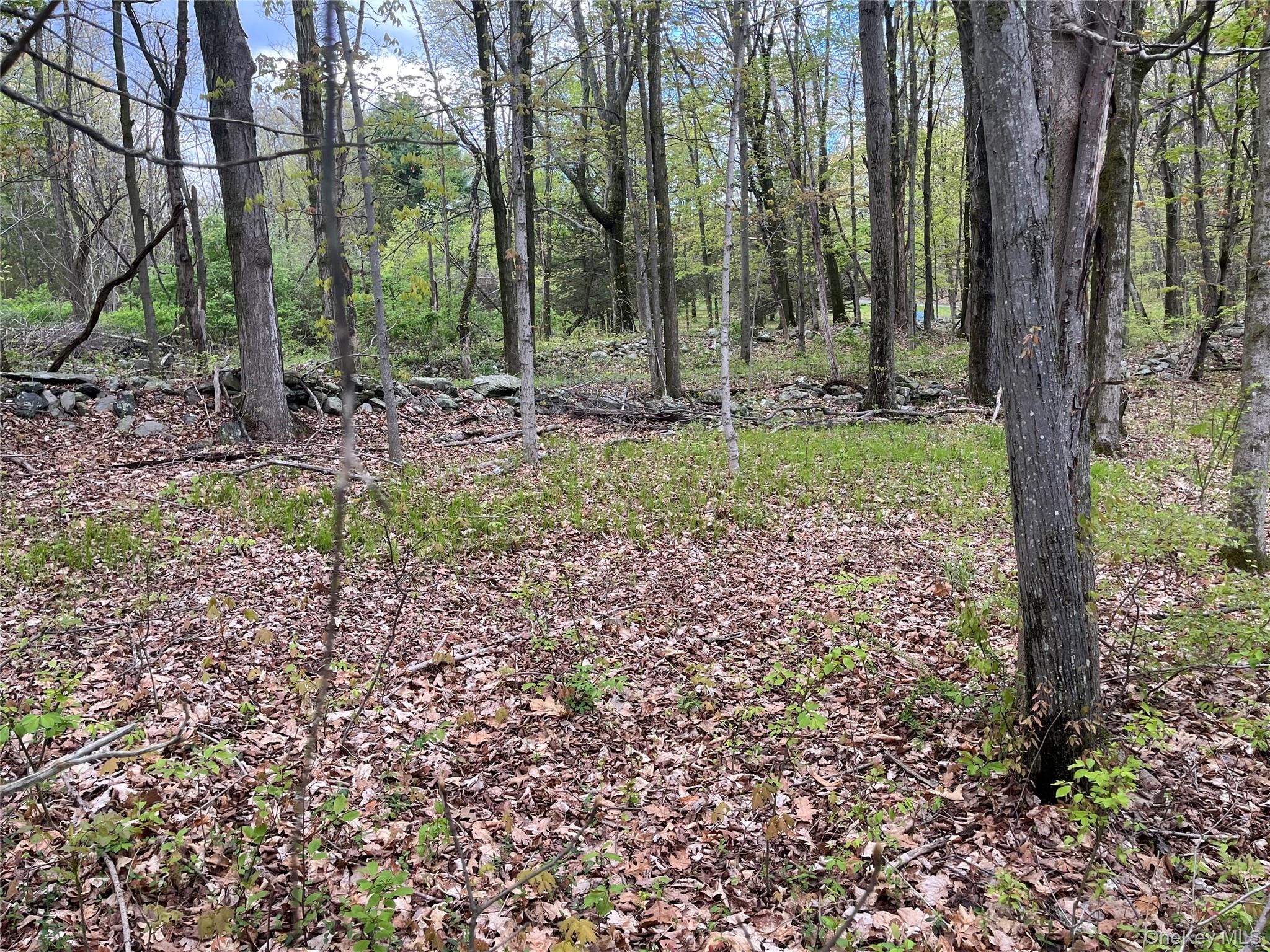 Cold Spring Road Clinton Corners, NY 12514 - Photo 5 of 8 a view of outdoor space with trees
