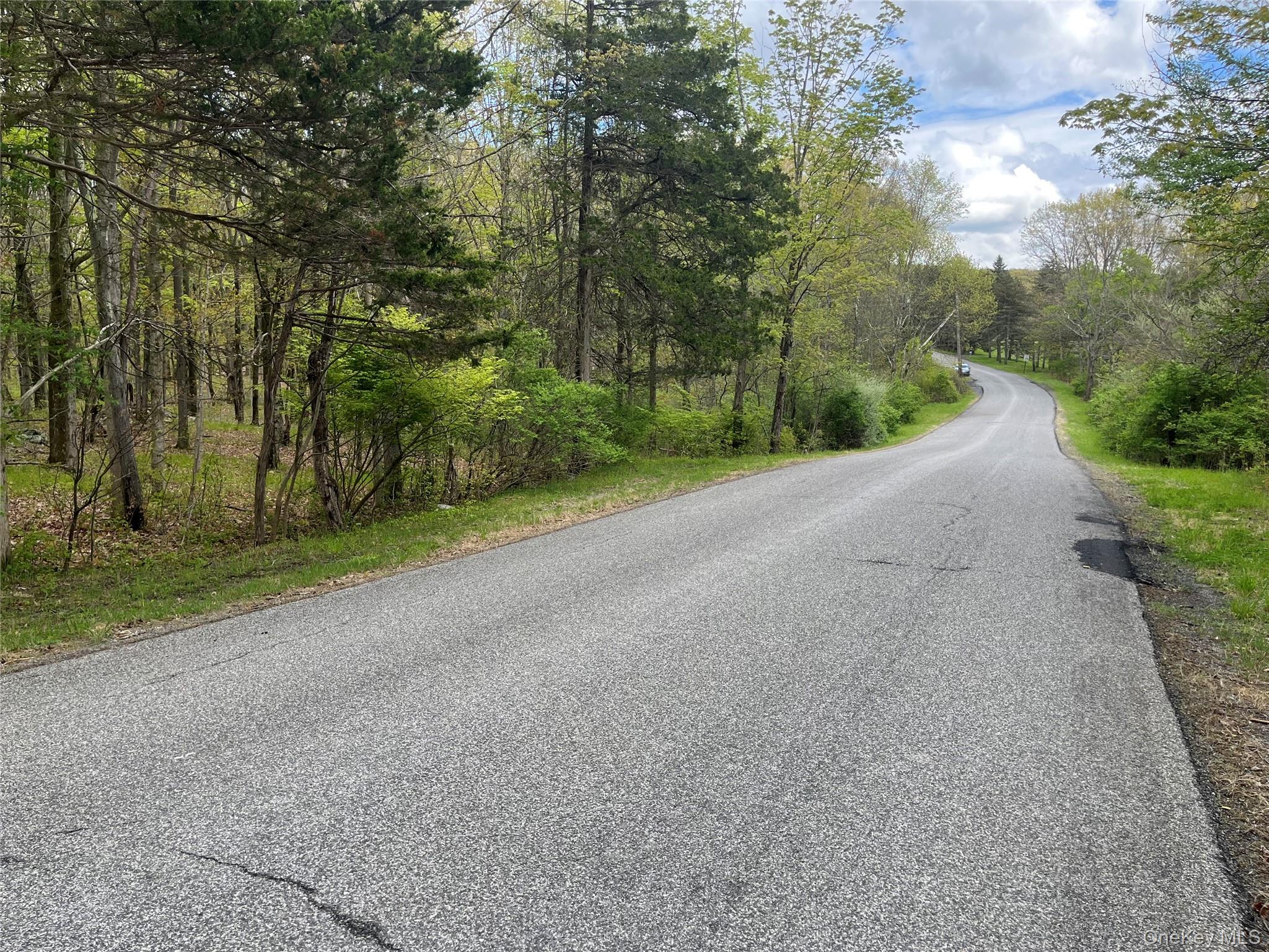 Cold Spring Road Clinton Corners, NY 12514 - Photo 6 of 8 a view of a road with a trees