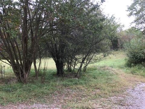 2038 Pinecrest Road Jacksboro, TN 37757 - Photo 2 of 11 IMG953246