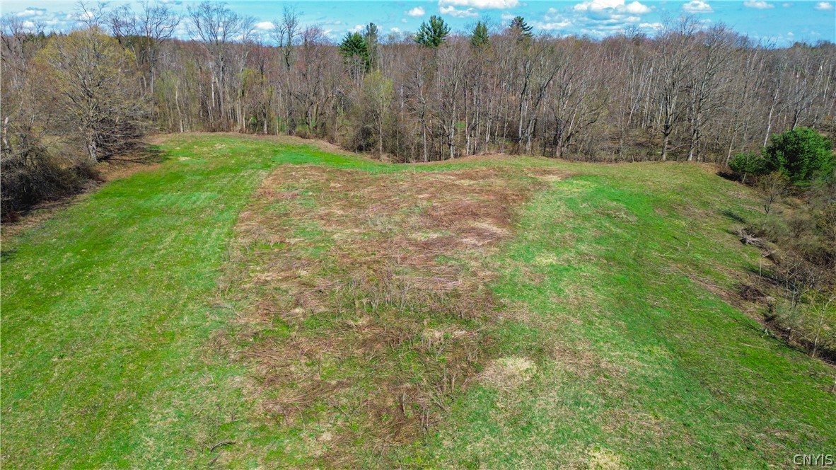 0 Lake Road Hamilton, NY 13346 - Photo 18 of 21
