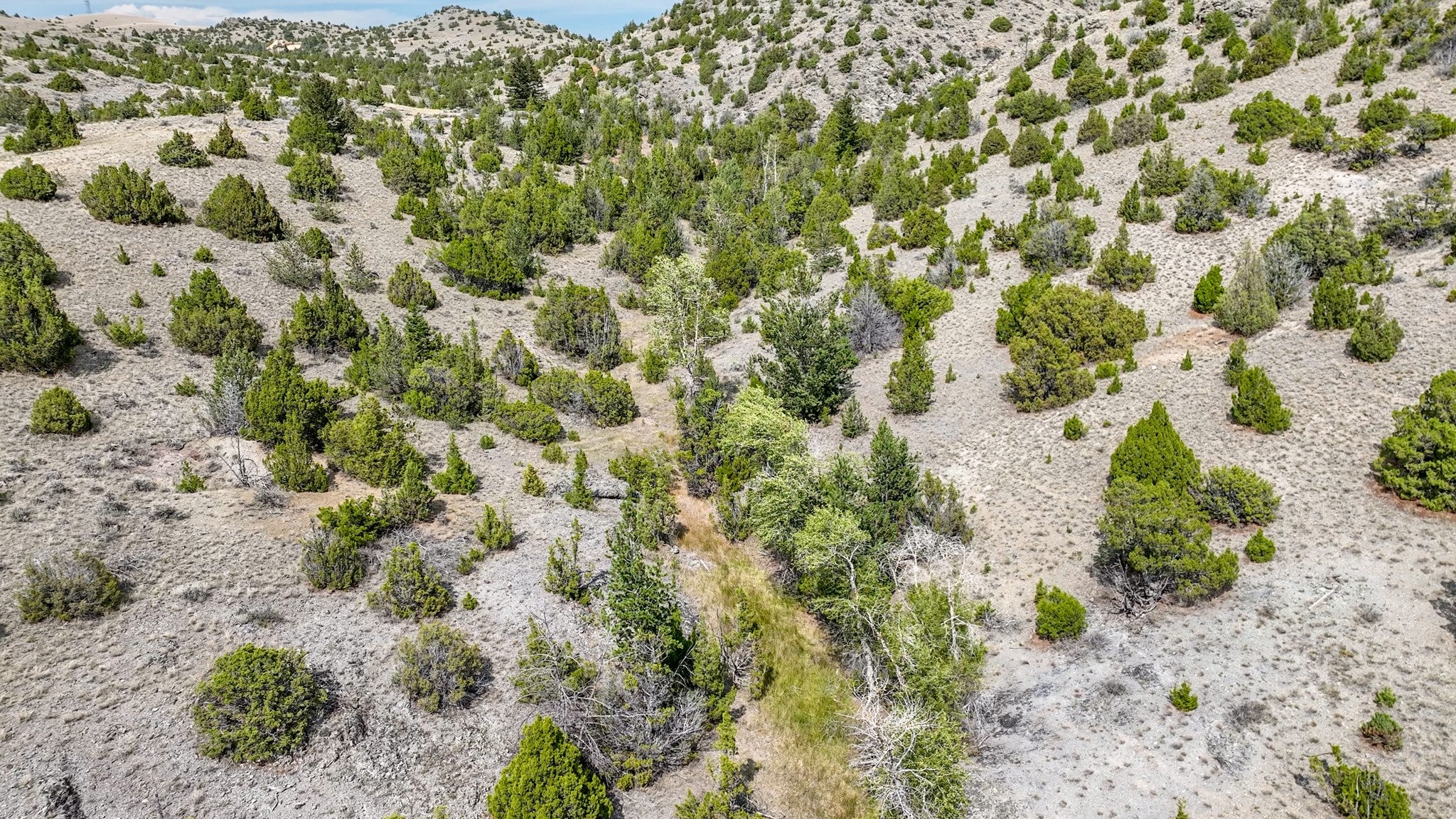 Tbd Tbd Johnny Gulch Road Toston, MT 59643 - Photo 26 of 48 Gallery Image 26