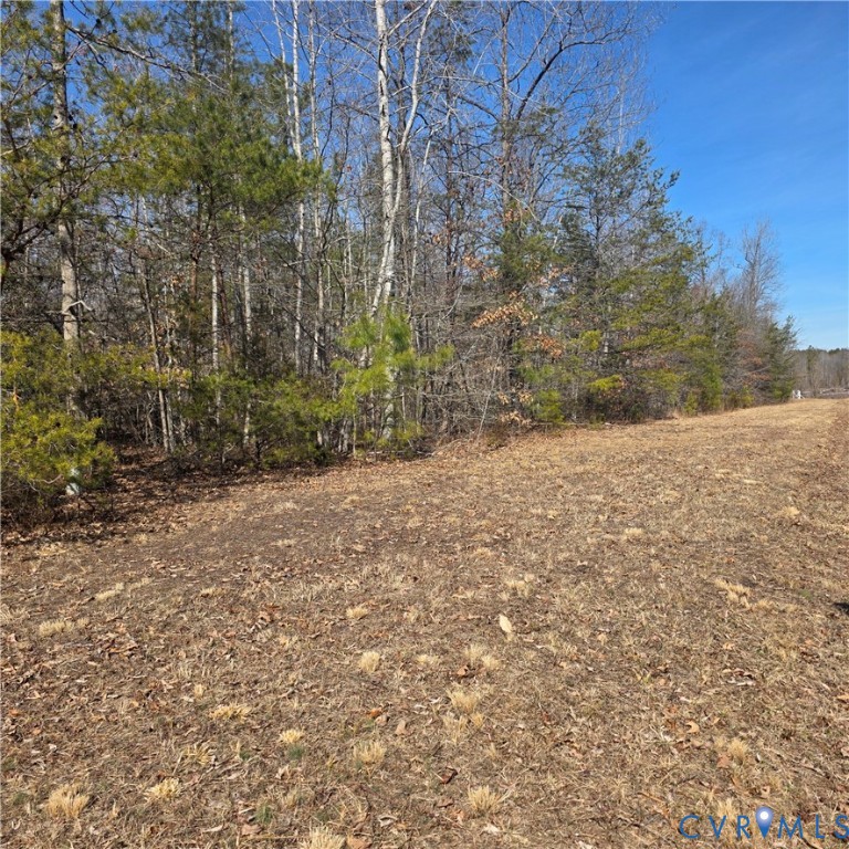 0 Ancient Acres Road Beaverdam, VA 23015 - Photo 9 of 15 a view of a yard with a tree