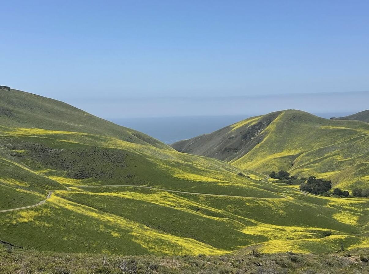 63 Hollister Ranch Road Goleta, CA 93117 - Photo 1 of 1 Spring