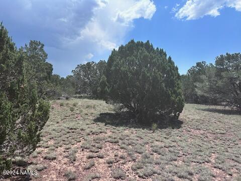 1462 East Barbara Road, Unit 837 Williams, AZ 86046 - Photo 8 of 9 1462 Barbara8