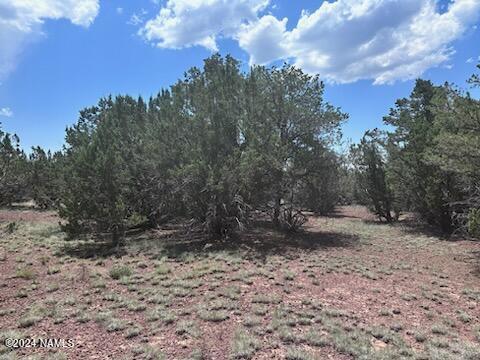 1462 East Barbara Road, Unit 837 Williams, AZ 86046 - Photo 9 of 9 1462 Barbara9