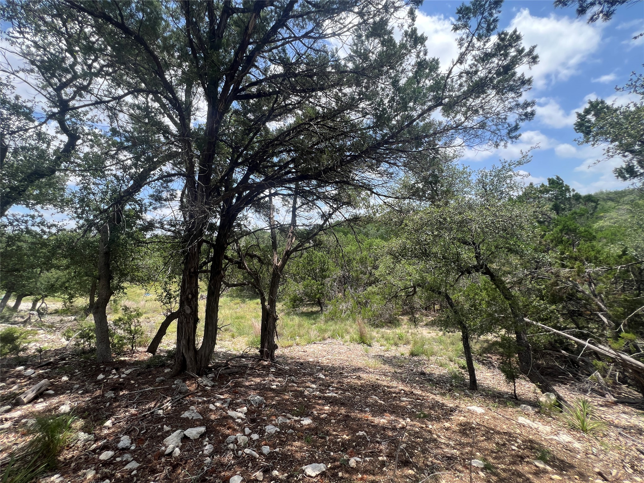 1252 Parton Road Canyon Lake, TX 78133 - Photo 6 of 11