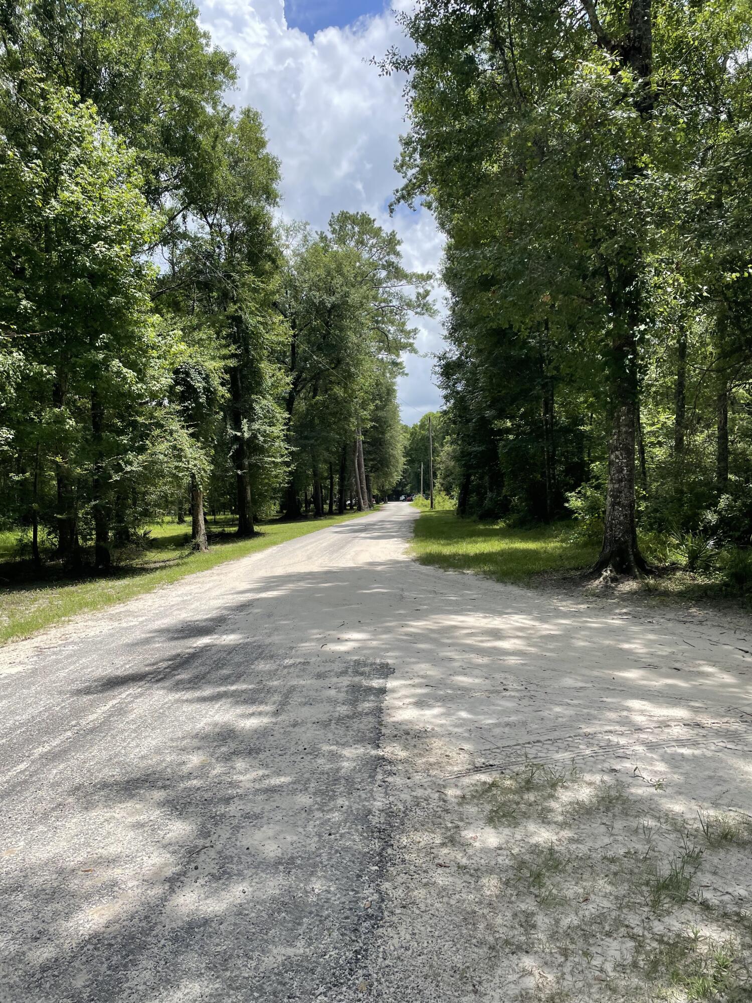 Lot 7-8 Gator Walk Road Ridgeville, SC 29472 - Photo 3 of 21 IMG_1207