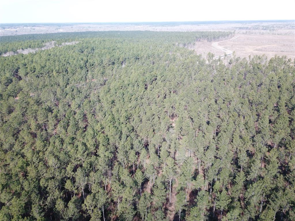 0 Old Pleasant Hill Road Zwolle, LA 71486 - Photo 11 of 16 a view of a city with an outdoor space